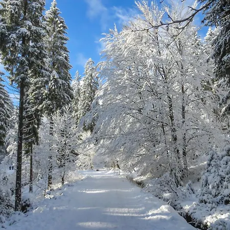 Berghof 434