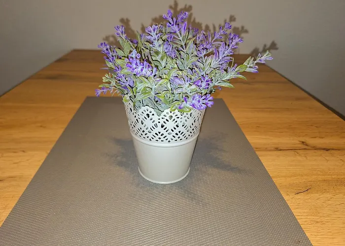 Apartment Berghof 434