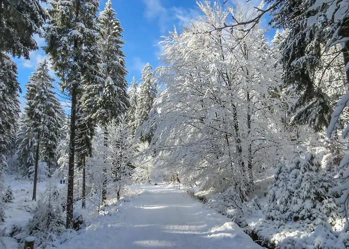Berghof 434